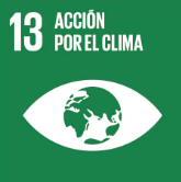 13 acción por el clima