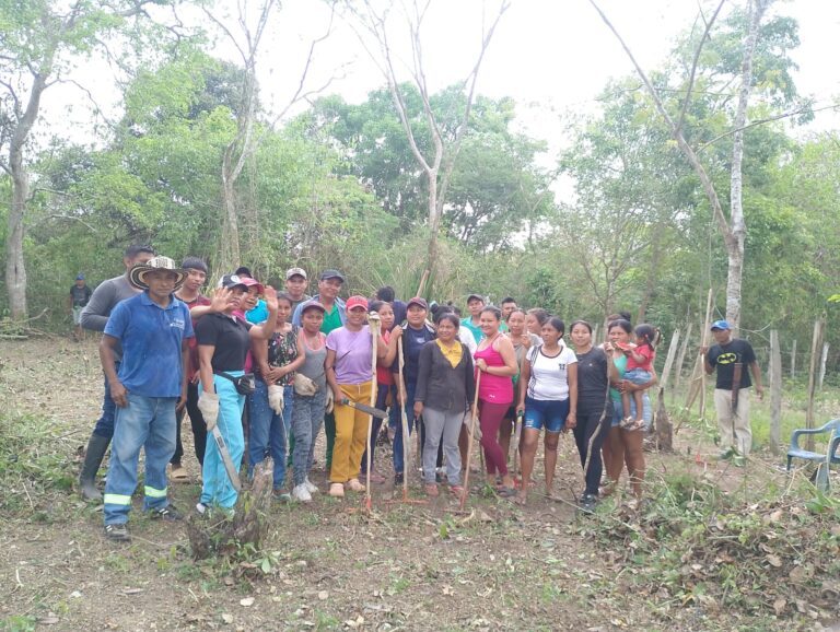 10 000 metros cuadrados de tierra y esperanza para una agroecología escolar en acción