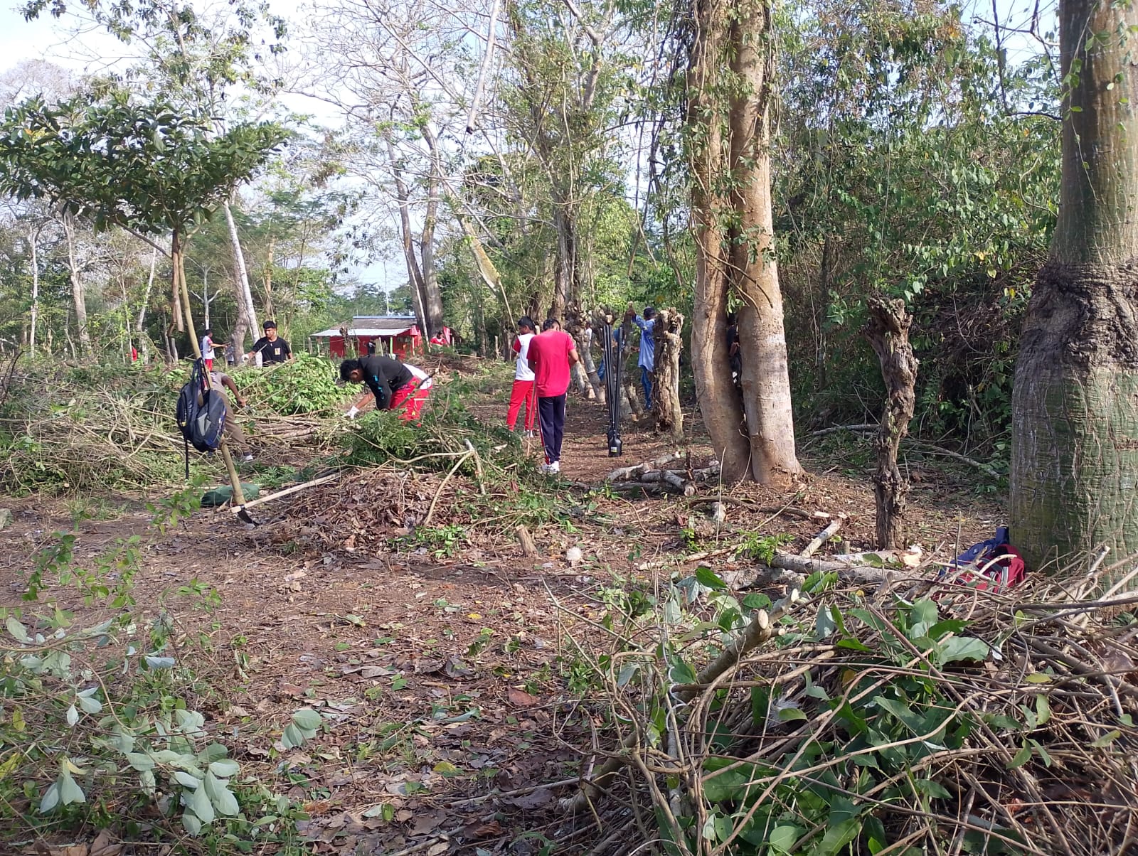 19022025. Limpiado y remocion de cerca en mal estado