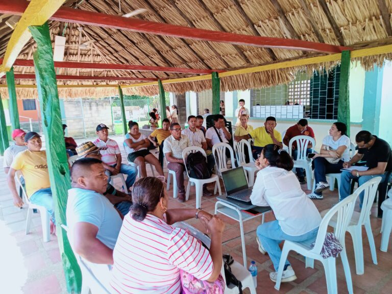 Diagnostic initial de l’Institution éducative indigène El Martillo